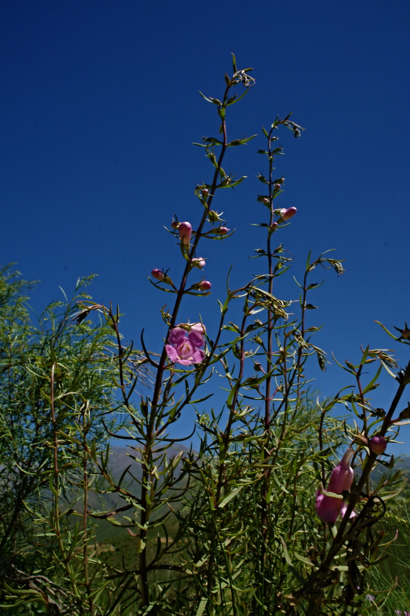 image065.jpg